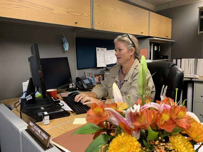 UPDATED Hannah Accepts Saginaw County job News, Sports, Jobs The